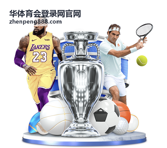 华体育会登录网官网帮助与安全自助排查面板示意