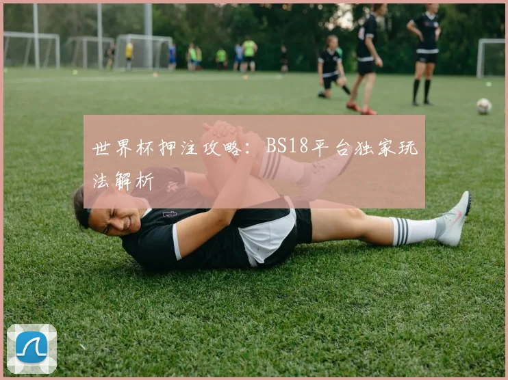 世界杯押注攻略:BS18平台独家玩法解析