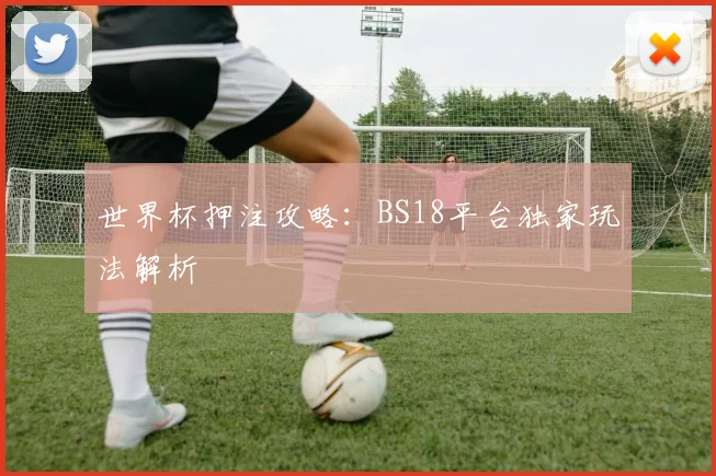 世界杯押注攻略:BS18平台独家玩法解析