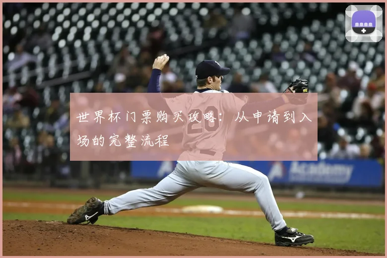 世界杯门票购买攻略:从申请到入场的完整流程