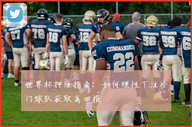 世界杯押注指南:如何理性下注冷门球队获取高回报