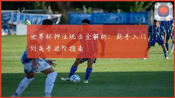 世界杯押注玩法全解析:新手入门到高手进阶指南