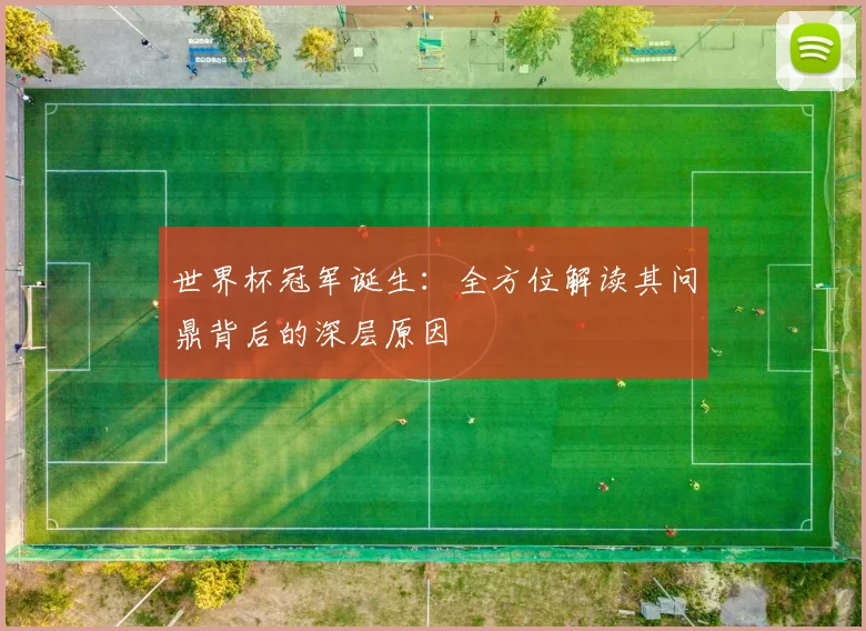世界杯冠军诞生:全方位解读其问鼎背后的深层原因