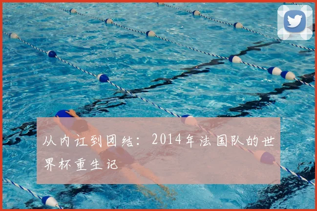从内讧到团结:2014年法国队的世界杯重生记