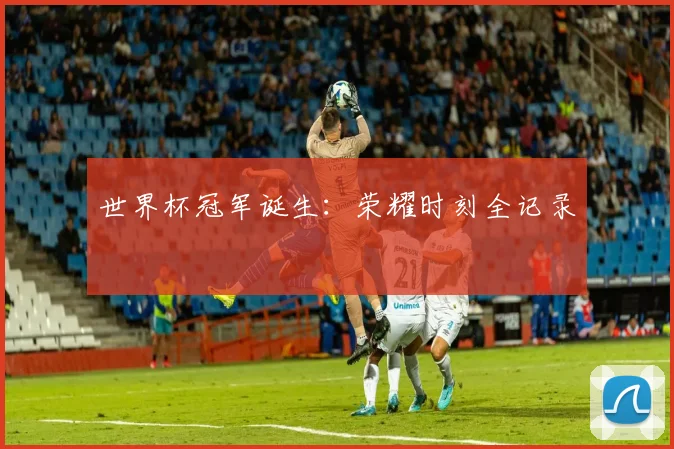 世界杯冠军诞生:荣耀时刻全记录